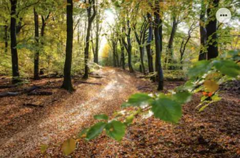 Park Konijnenburg Villa Putten Luaran gambar