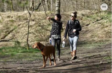 Park Konijnenburg Villa Putten Luaran gambar